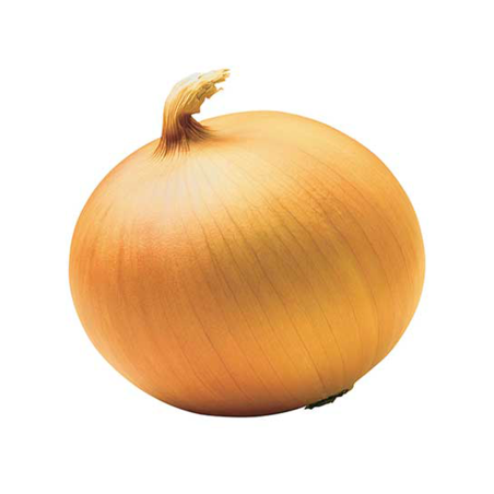 CEBOLLA NUEVA
