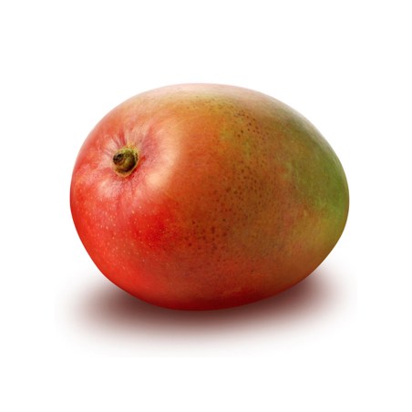 MANGO PALMER ISLA BONITA