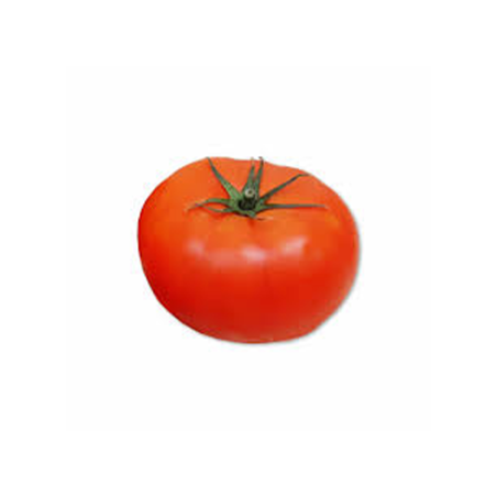 TOMATE DANIELA G