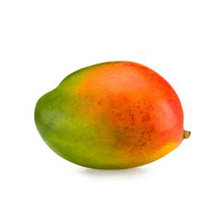 MANGO PALMER