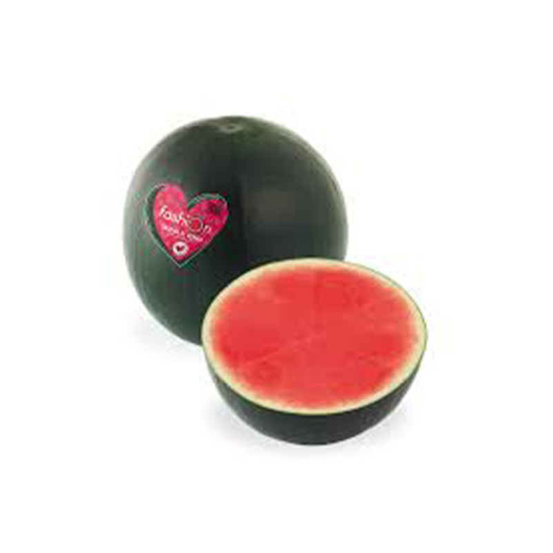 SANDÍA FASHION