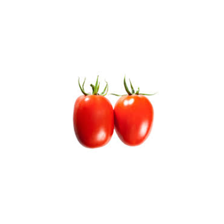 TOMATE BOLA CAMPO
