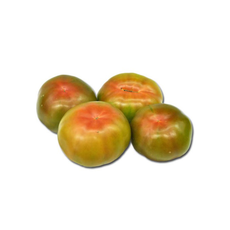 TOMATE LISO